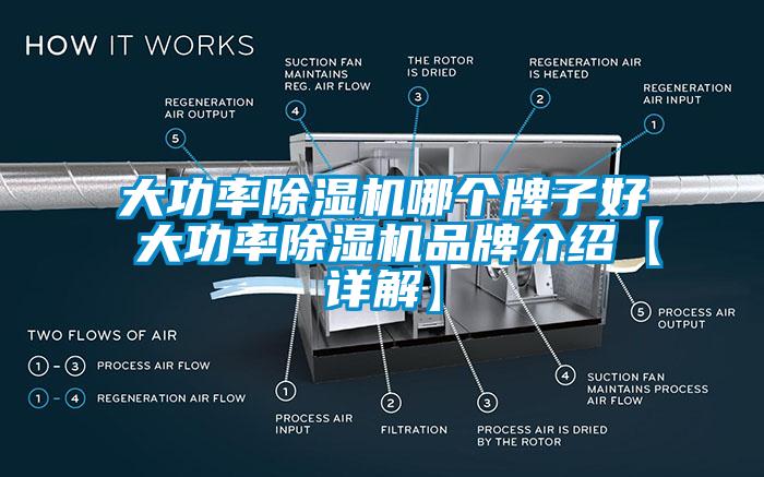 大功率除濕機(jī)哪個牌子好 大功率除濕機(jī)品牌介紹【詳解】