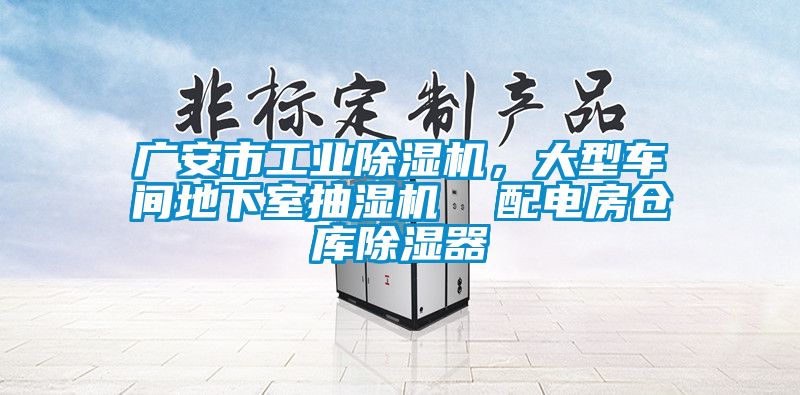 廣安市工業(yè)除濕機，大型車間地下室抽濕機  配電房倉庫除濕器