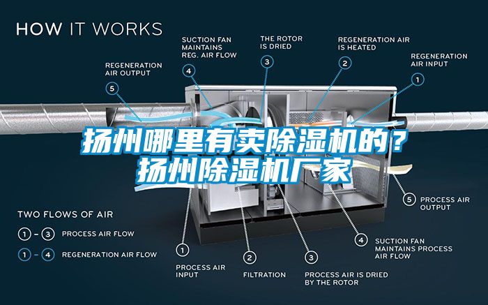 揚州哪里有賣除濕機的？揚州除濕機廠家