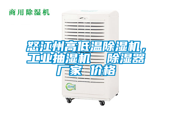 怒江州高低溫除濕機，工業(yè)抽濕機  除濕器廠家 價格