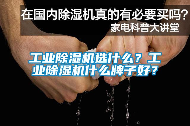 工業(yè)除濕機(jī)選什么？工業(yè)除濕機(jī)什么牌子好？