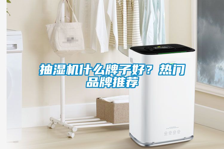 抽濕機(jī)什么牌子好？熱門品牌推薦