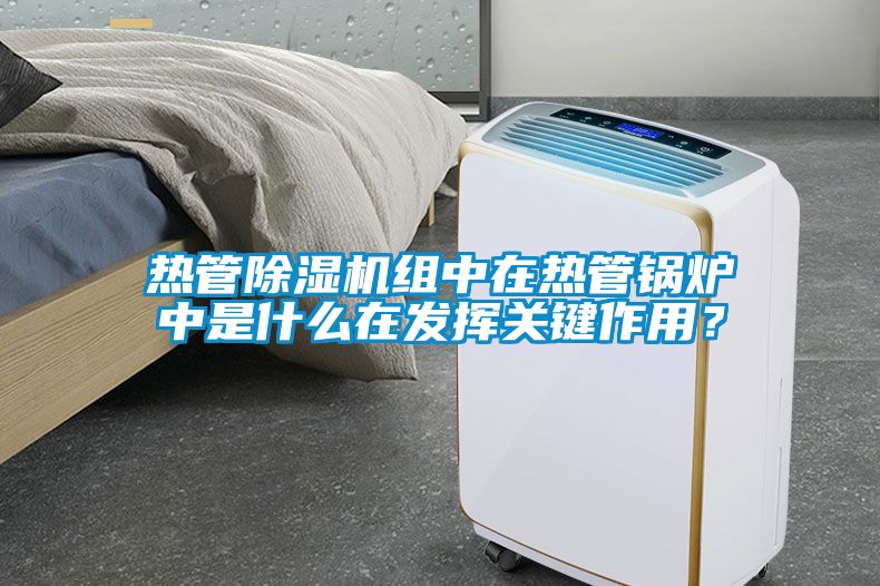 熱管除濕機組中在熱管鍋爐中是什么在發(fā)揮關鍵作用？