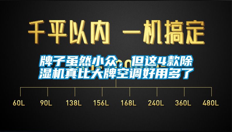 牌子雖然小眾，但這4款除濕機真比大牌空調(diào)好用多了