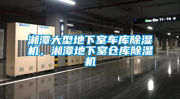 湘潭大型地下室車(chē)庫(kù)除濕機(jī)，湘潭地下室倉(cāng)庫(kù)除濕機(jī)