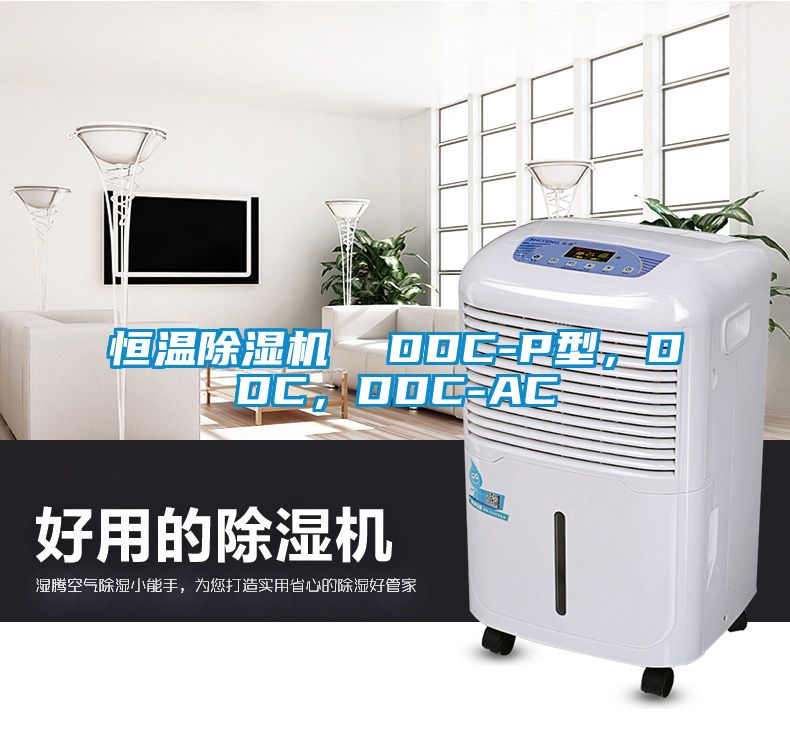 恒溫除濕機(jī)  DDC-P型，DDC，DDC-AC