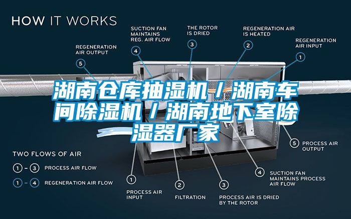 湖南倉(cāng)庫(kù)抽濕機(jī)／湖南車間除濕機(jī)／湖南地下室除濕器廠家