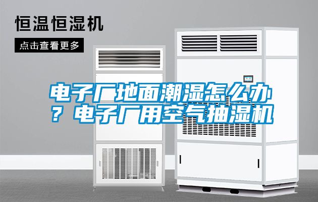 電子廠地面潮濕怎么辦？電子廠用空氣抽濕機(jī)