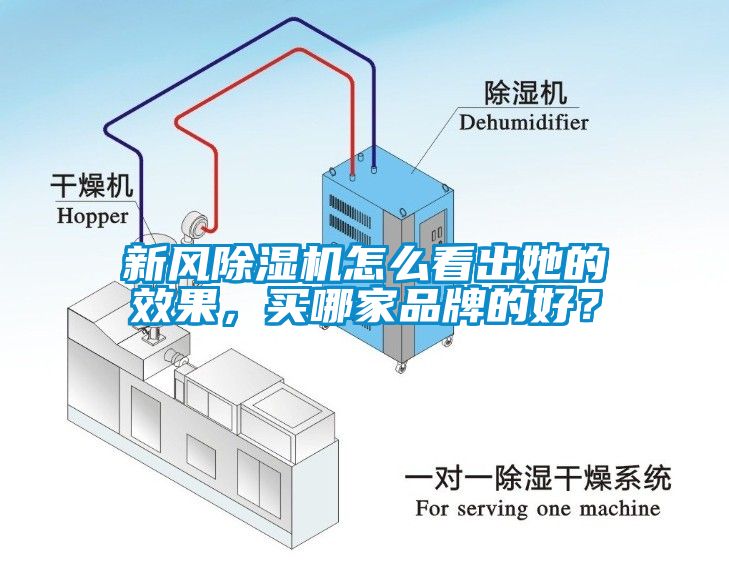 新風(fēng)除濕機(jī)怎么看出她的效果，買哪家品牌的好？