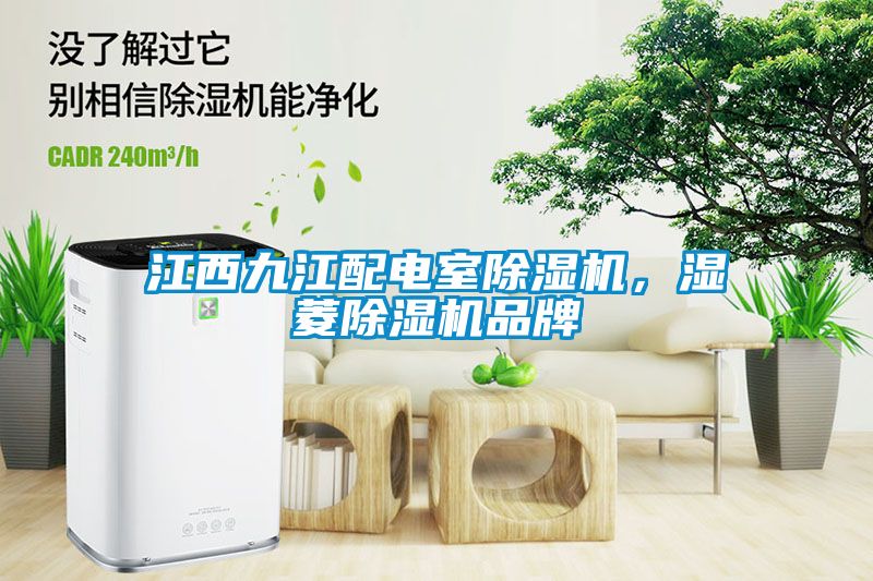 江西九江配電室除濕機，濕菱除濕機品牌