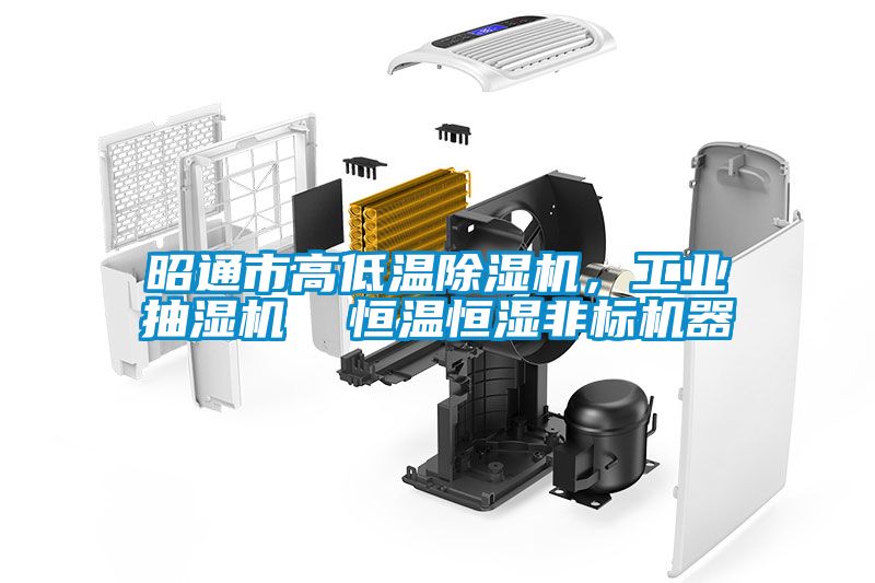 昭通市高低溫除濕機，工業(yè)抽濕機  恒溫恒濕非標機器