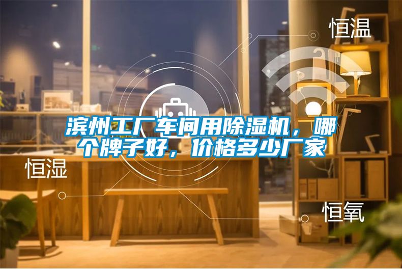 濱州工廠車間用除濕機，哪個牌子好，價格多少廠家