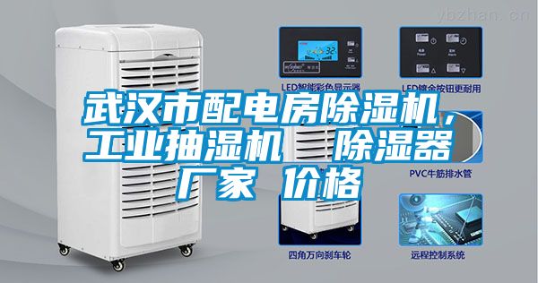 武漢市配電房除濕機(jī)，工業(yè)抽濕機(jī)  除濕器廠家 價格