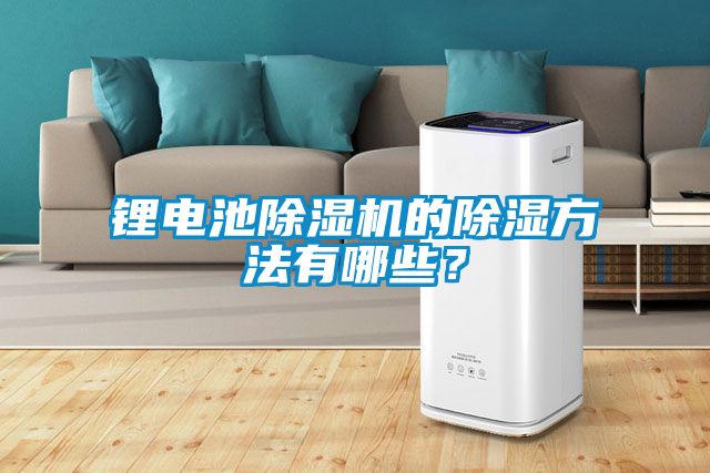 鋰電池除濕機的除濕方法有哪些？