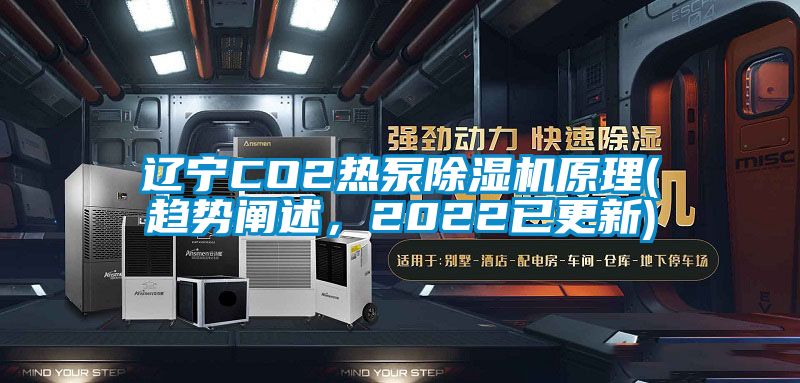 遼寧CO2熱泵除濕機原理(趨勢闡述，2022已更新)