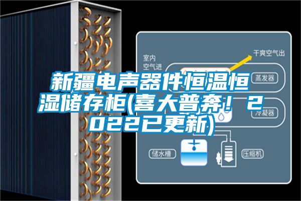 新疆電聲器件恒溫恒濕儲(chǔ)存柜(喜大普奔！2022已更新)