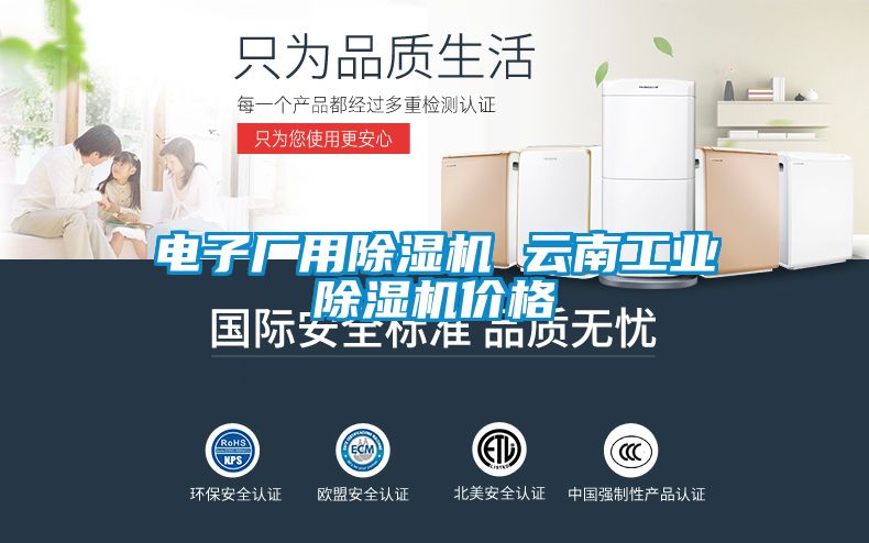 電子廠用除濕機(jī) 云南工業(yè)除濕機(jī)價(jià)格