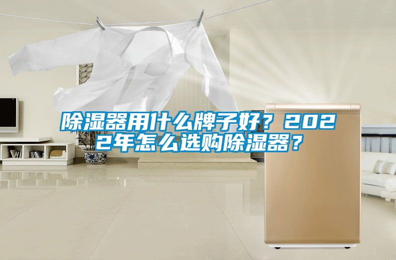 除濕器用什么牌子好？2022年怎么選購除濕器？