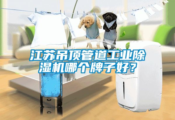 江蘇吊頂管道工業(yè)除濕機哪個牌子好？