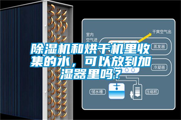 除濕機和烘干機里收集的水，可以放到加濕器里嗎？