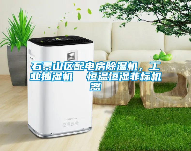 石景山區(qū)配電房除濕機，工業(yè)抽濕機  恒溫恒濕非標(biāo)機器