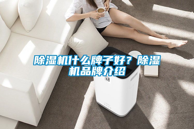 除濕機什么牌子好？除濕機品牌介紹