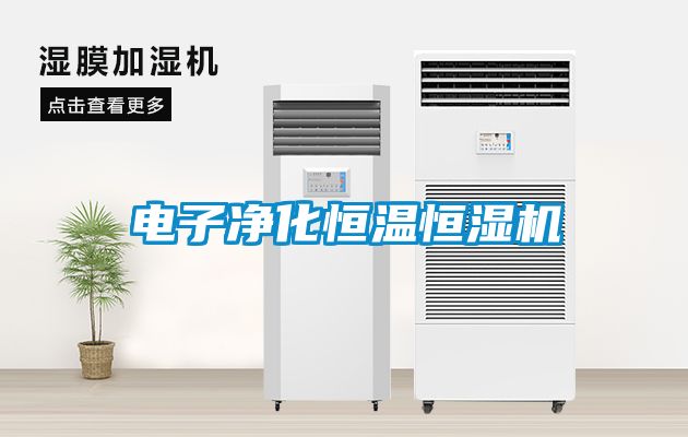 電子凈化恒溫恒濕機(jī)