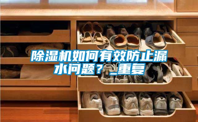 除濕機(jī)如何有效防止漏水問題？_重復(fù)