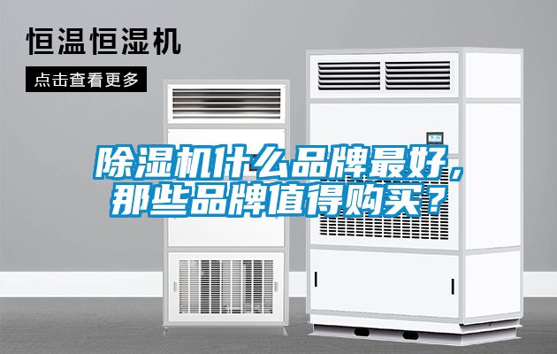 除濕機(jī)什么品牌最好，那些品牌值得購(gòu)買？