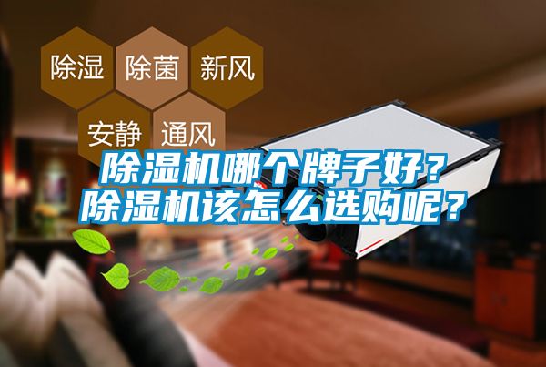 除濕機哪個牌子好？除濕機該怎么選購呢？