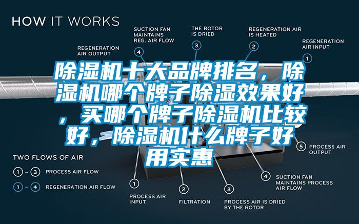 除濕機(jī)十大品牌排名，除濕機(jī)哪個(gè)牌子除濕效果好，買哪個(gè)牌子除濕機(jī)比較好，除濕機(jī)什么牌子好用實(shí)惠