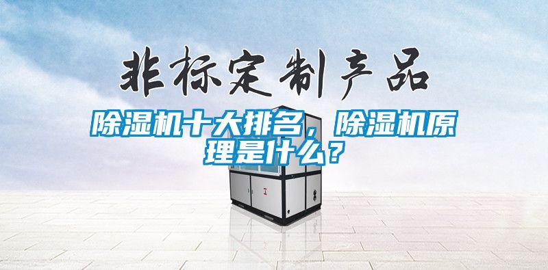 除濕機(jī)十大排名，除濕機(jī)原理是什么？