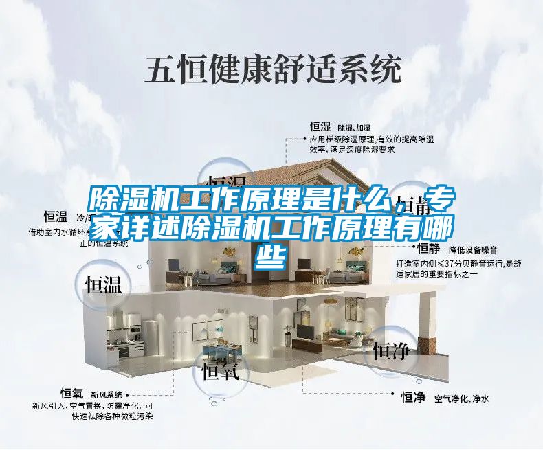 除濕機工作原理是什么，專家詳述除濕機工作原理有哪些