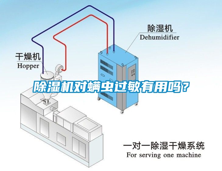 除濕機(jī)對(duì)螨蟲(chóng)過(guò)敏有用嗎？