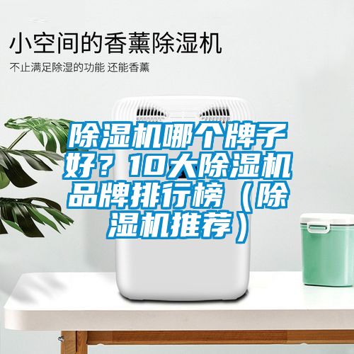 除濕機(jī)哪個牌子好？10大除濕機(jī)品牌排行榜（除濕機(jī)推薦）