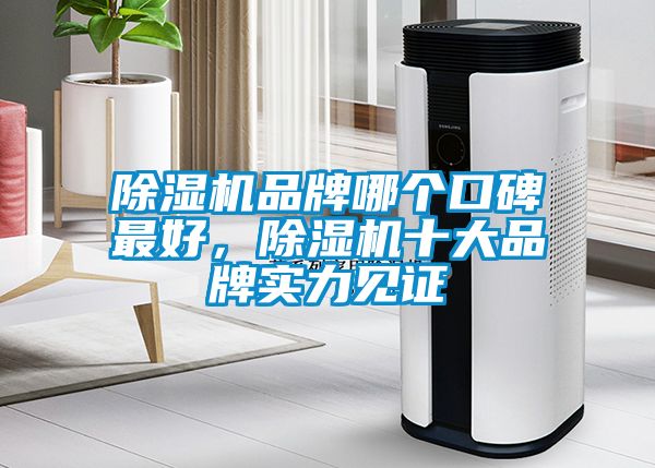 除濕機品牌哪個口碑最好，除濕機十大品牌實力見證