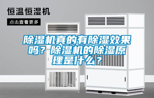 除濕機(jī)真的有除濕效果嗎？除濕機(jī)的除濕原理是什么？