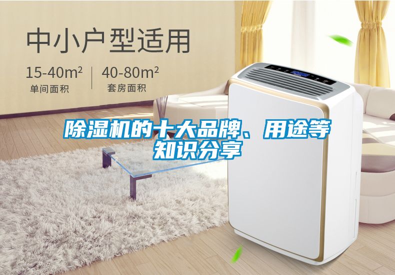 除濕機的十大品牌、用途等知識分享