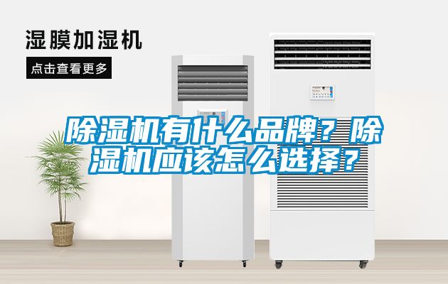 除濕機(jī)有什么品牌？除濕機(jī)應(yīng)該怎么選擇？