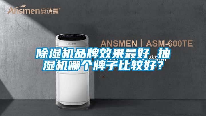 除濕機品牌效果最好 抽濕機哪個牌子比較好？