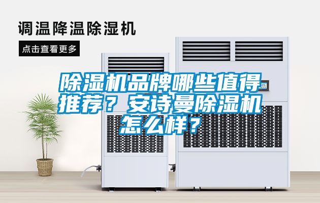 除濕機品牌哪些值得推薦？安詩曼除濕機怎么樣？