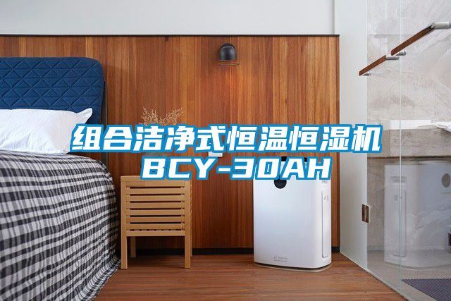 組合潔凈式恒溫恒濕機(jī) BCY-30AH