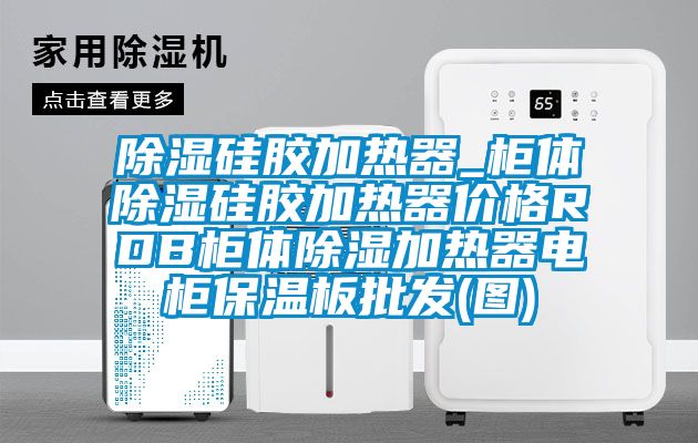 除濕硅膠加熱器_柜體除濕硅膠加熱器價格RDB柜體除濕加熱器電柜保溫板批發(fā)(圖)