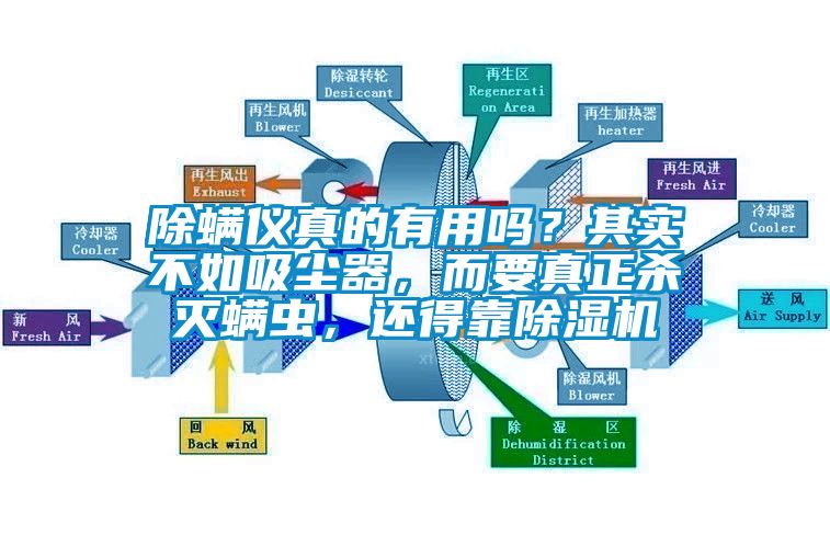 除螨儀真的有用嗎？其實不如吸塵器，而要真正殺滅螨蟲，還得靠除濕機